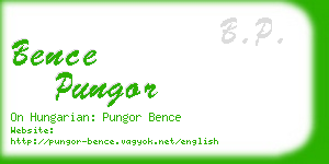 bence pungor business card